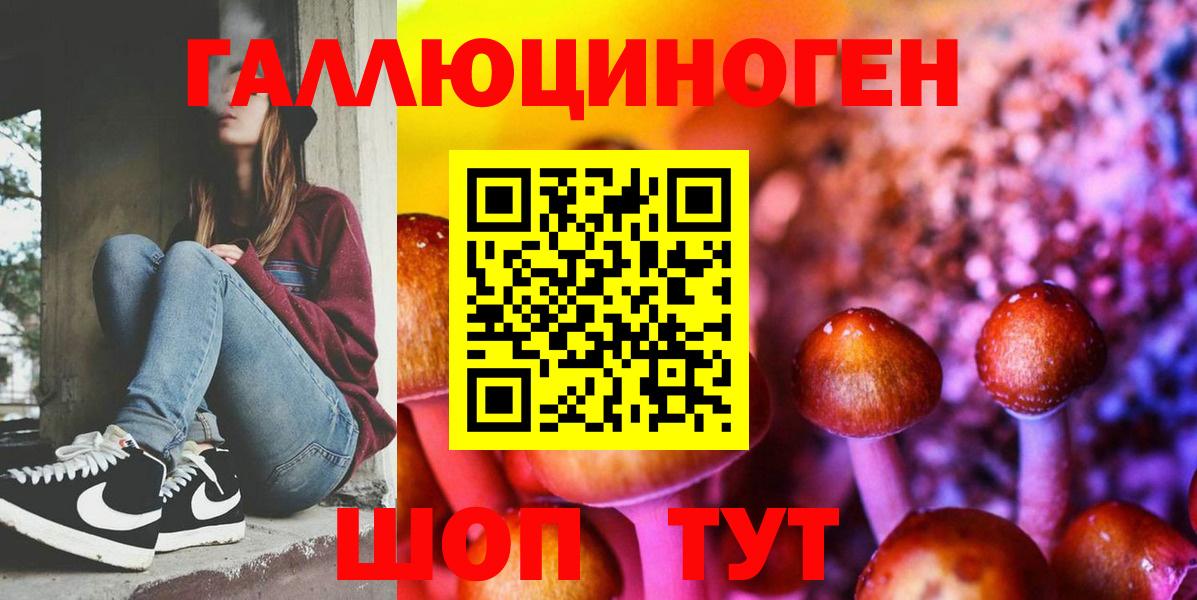 Псилоцибиновые грибы GOLDEN TEACHER  Вход с VPN  Псилоцибиновые грибы мухоморы  Баксан 