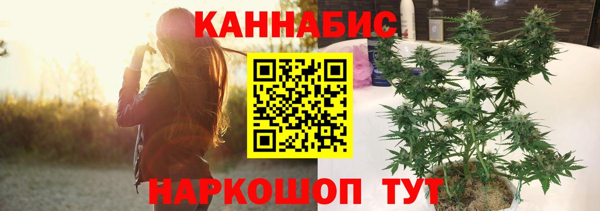 Баксан  Каннабис OG Kush  Вход с VPN  Бошки марихуана MAZAR  Конопля LSD WEED 